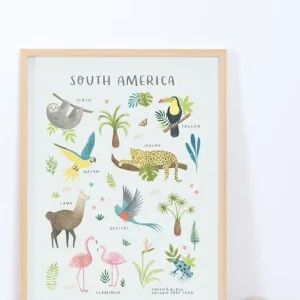 Affiche Animaux D’Amérique Du Sud Living Earth LILIPINSO Multicolore – Lilipinso 6