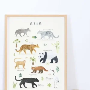 Affiche Animaux D’Asie Living Earth LILIPINSO Gris – Lilipinso 6