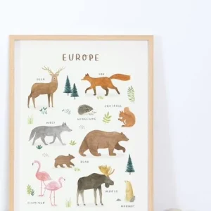 Affiche Animaux D’Europe Living Earth LILIPINSO Marron – Lilipinso 6