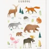 Affiche Animaux D’Europe Living Earth LILIPINSO Marron – Lilipinso 8