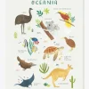 Affiche Animaux D’Océanie Living Earth LILIPINSO Marron – Lilipinso 11